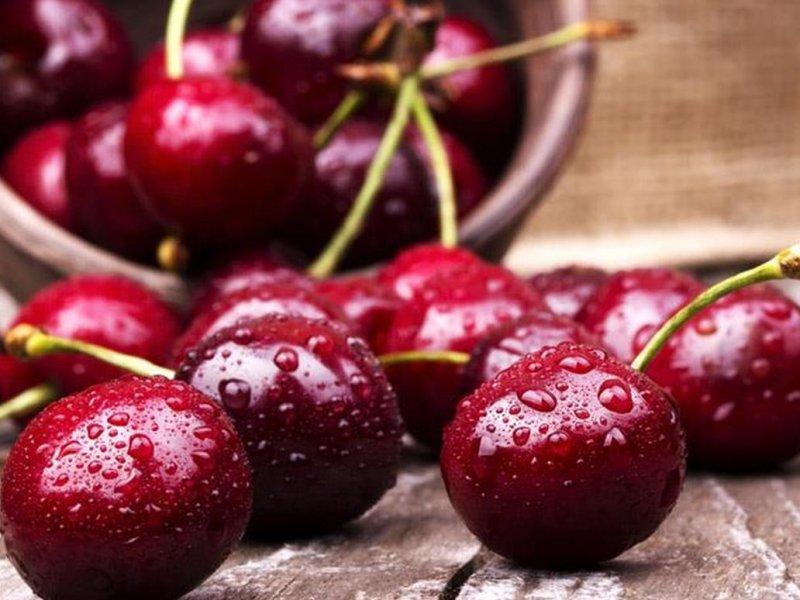 Вишня купить саженцы из питомника в Ельце